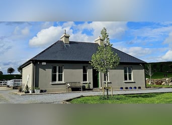 Traumhafter Bungalow mit Stall für Pferdeliebhaber