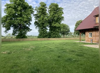 TRAUMHAFTES ANWESEN IN BRANDENBURG, Fachwerkhaus, Stallungen, Reitplatz, Weiden, Jagdrevier - 379-24