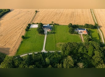 Urokliwy dom wiejski z wysokiej klasy zapleczem jeździeckim w Sønderjylland, w wymarzonej lokalizacj