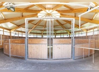 Wschodnia Szwajcaria – Ekskluzywny kompleks jeździecki z willą w stylu śródziemnomorskim oraz rozleg