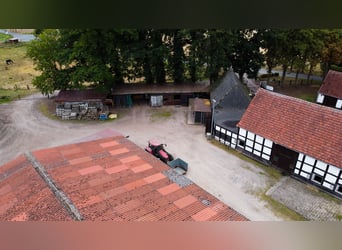 Wundervoller Pferdehof mit ca. 7,5ha Fläche, Reithalle, Führanlage, Reitplatz, Stalltrakten u.v.m.
