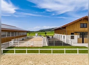 Wyjątkowy nowoczesny kompleks jeździecki w pobliżu Kempten w Allgäu