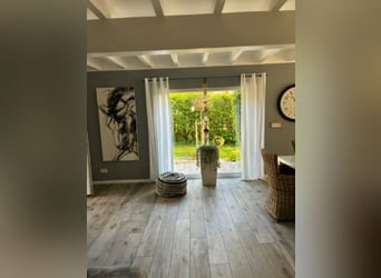 Wymarzona nieruchomość koniarska z domem o powierzchni 210 m²