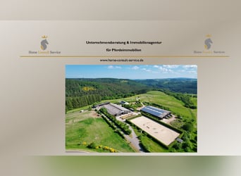 Wymarzone duża stadnina jeździecka w panoramicznej lokalizacji między Trewirą a Luksemburgiem