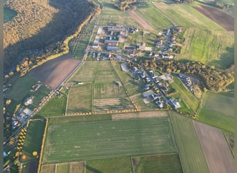 Wymarzone działka o powierzchni 2 075 m² dla koni i ludzi z prawem zabudowy stajni w Lonnig/RLP w po