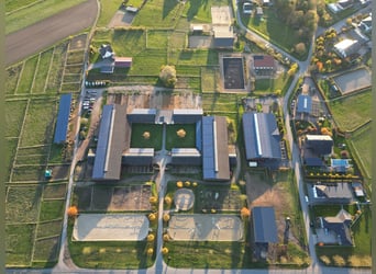 Wymarzone działka o powierzchni 2 075 m² dla koni i ludzi z prawem zabudowy stajni w Lonnig/RLP w po