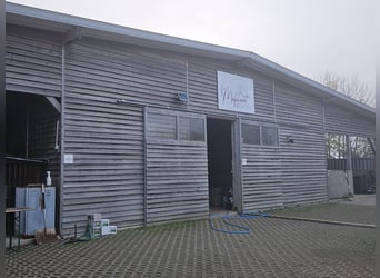 Wysoko rentowny kompleks jeździecki z dużą ilością ziemi, idealny do hodowli koni w warunkach zgodny