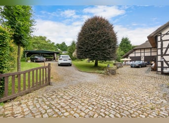Zeitreise im Grünen: Historisches Bauernhaus mit Reetdach und kleinem Pferdestall in Monschau-Widdau