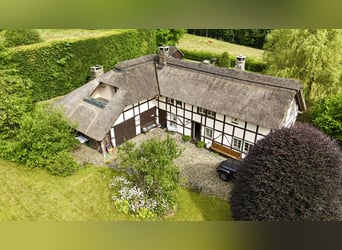 Zeitreise im Grünen: Historisches Bauernhaus mit Reetdach und kleinem Pferdestall in Monschau-Widdau