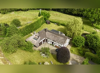 Zeitreise im Grünen: Historisches Bauernhaus mit Reetdach und kleinem Pferdestall in Monschau-Widdau