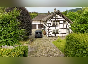 Zeitreise im Grünen: Historisches Bauernhaus mit Reetdach und kleinem Pferdestall in Monschau-Widdau