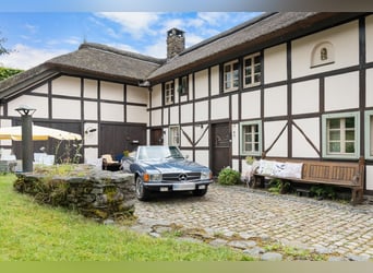 Zeitreise im Grünen: Historisches Bauernhaus mit Reetdach und kleinem Pferdestall in Monschau-Widdau