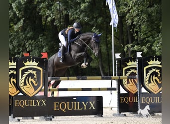 Wolne miejsca na lonżę