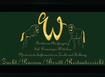 Hufschmied zur Festanstellung 