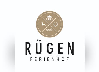 Reitlehrer/in gesucht!