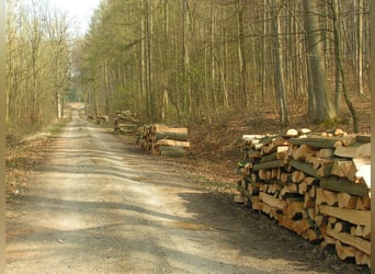 Landwirtschaftlicher Mitarbeiter mit guter Qualifikation in Teil- oder Vollzeit