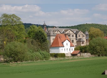 Landwirtschaftlicher Mitarbeiter mit guter Qualifikation in Teil- oder Vollzeit