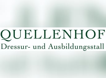 Stallmitarbeiter für kleinen privaten Sportpferdestall gesucht