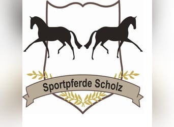 Vollzeitstelle in unserem jungen Team