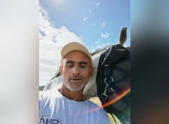 Pferdepflegerhelfer, Stallhilfe und Hofarbeiter mit Referenzen sucht Arbeit