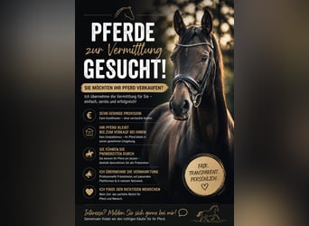 Poszukujemy koni do adopcji!