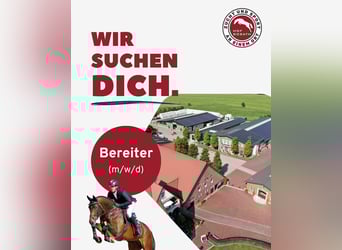 Team Sosath sucht Bereiter/in zur Verstärkung