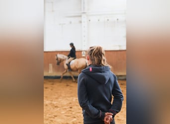 Poszukujemy instruktora jeździectwa