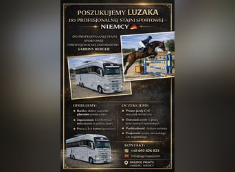 We are looking for a groom for a professional rider