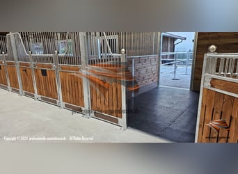 Boks dla koni i stajnie, boksy w stajni | Front i ścianka działowa – budowa stajni koni