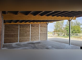 Budowa boksu otwartego i schroniska dla koni, schronisko na pastwisku | Stodoła dla koni