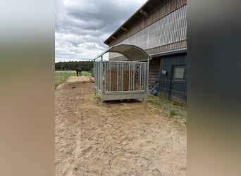 Karma dla koni – prawie nowa