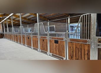 Kupno boksu dla koni na stajnię – fronty boksów, ścianki działowe, ściany stajni i boksy wewnętrzne 