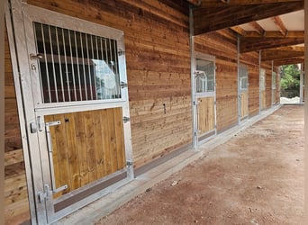 Kupno stajni dla koni – boksy, stajnie zewnętrzne oraz systemy budowy stajni | Stajnie otwarte i sys