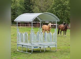 MD Kellfri Heuraufe mit Dach und geschlossenen Palisadenelementen für Pferde