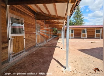 Pferdestalltür & Stalltür - Pferdestalltor, Stalltor | Paddocktür und Schiebetür Top-Preise