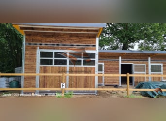 Pferdestalltür & Stalltür - Pferdestalltor, Stalltor | Paddocktür und Schiebetür Top-Preise