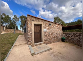 Farm For Recreation And Big Game Hunting.