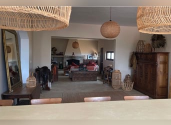 Finca De Ensueño De Más De 90 Ha Cerca De Sevilla