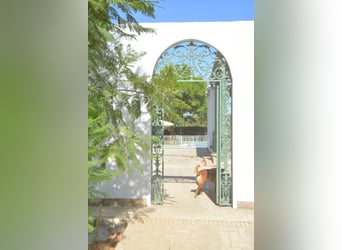 Große Finca in der Nähe Seviallas