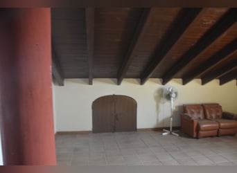 Große Finca in der Nähe Seviallas