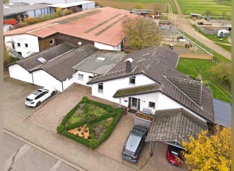 Große Reitanlage mit mehreren Wohneinheiten im Norden Frankfurts
