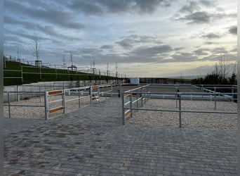 Kleine hochwertige Reitanlage mit exklusiver, energetischer und neuwertiger Luxus-Villa