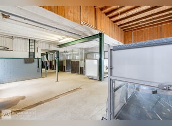 Traumhafter Reiterhof mit kernsaniertem Wohnhaus und viel Land in Rimbach