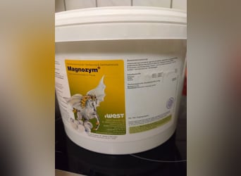 iwest Magnozym – wspomaganie harmonizacji fizjologicznego trawienia oraz wsparcie regeneracji jelit