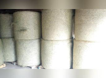 Siano rolki, siano ekologiczne, siano z łąki, ekologiczne bele, siano z pastwiska