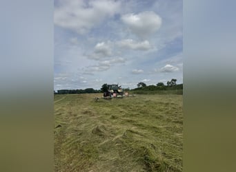 Siano, sianokiszonka, siano do owijania, wysokiej jakości karma z własnego stajni