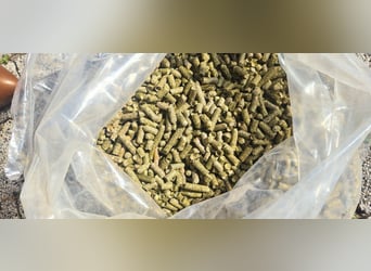 Polski producent trawokulek - siano granulowane