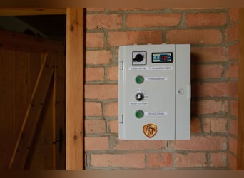 Solarium dla koni Solar Tech