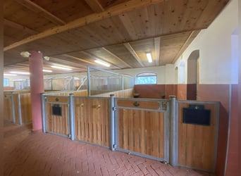 Sprzedam kompletną stajnię RÖWER & RÜB (12 boksów) + solarium dla koni