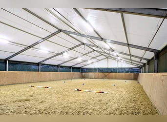 Teltowa hala 15x30 m na sprzedaż – idealna jako ujeżdżalnia, hala magazynowa lub namiot eventowy